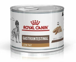 Royal Canin Gastro Intestinal Low Fat Chien -Promos VetoStore Boutique 71a62bc0b244a0a5cb4975f3ca4307921465dd9c5d4b77c304b9e5cad2f1a2bb