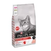 Purina Pro Plan Original Adult Chat Saumon -Promos VetoStore Boutique 7350c68c90afe8e82570a65e91d54541e2629c086d1ac7bd18aee9bcaf0a48f5