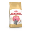 Royal Canin British Shorthair Chaton 2kg -Promos VetoStore Boutique 76d0c27720d8be3f26fef9af79fca283991a0766a0ae16725fdcb34b6413088f