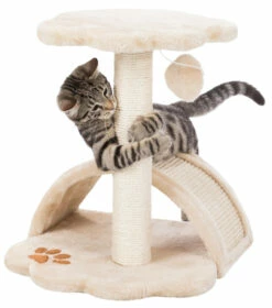 Trixie Junior Arbre À Chat Vitoria 43 Cm 7 Trixie Junior Arbre À Chat Vitoria 43 Cm -Promos VetoStore Boutique 790de42c0b63fa6960eb8c0c6937ad489c18a3502d7633858675315713321f62