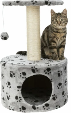 Trixie Junior Arbre À Chat Toledo 61 Cm -Promos VetoStore Boutique 79bdcb168b782dc3e67dee5eb2a5c29a91575bc0802278d0011a4e1e98cd2732