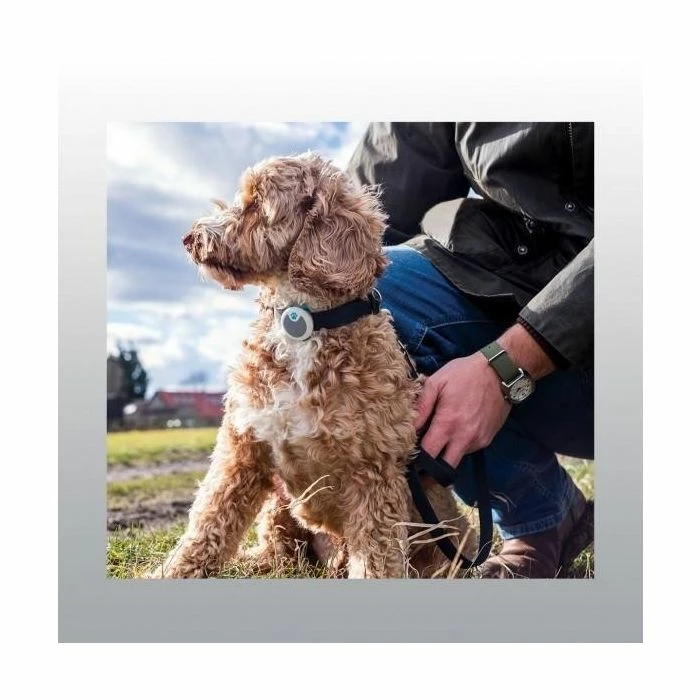 Animo Tracker D'activités 3 Animo Tracker D'activités