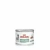 Royal Canin Diabetic Special Chien 12 Boites De 195g