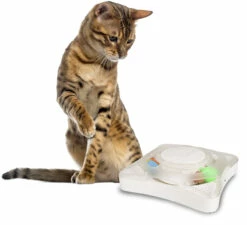 Flamingo Jouet Pour Chat Rouleau Orbit -Promos VetoStore Boutique 8197d5494eb4b09c0197fedf33f4490029fe0c13a33cf83ce23255affeedb826