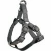 Flamingo Harnais Step&go Delu Noir 45-65cm 20mm