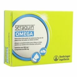Seraquin OMEGA Chat