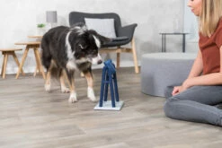 Trixie Jeu De Stratégie Pour ChienTurn Around 22 X 33 X 18 Cm 24 Trixie Jeu De Stratégie Pour ChienTurn Around 22 X 33 X 18 Cm -Promos VetoStore Boutique 8bed342b96228300acb402ff3f8be6eb0cad0506d86789e4670cdbdef29ce45e