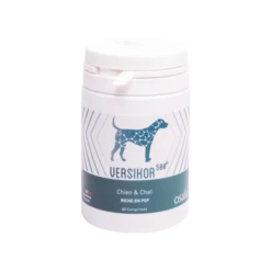 Versikor 500 60 Comprimés