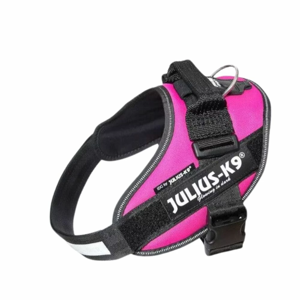 Julius K9 Harnais Julius IDC Power-K9 Fuschia 6 Julius K9 Harnais Julius IDC Power-K9 Fuschia – Image 4