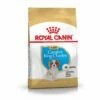 ROYAL CANIN Rc Vd Cavalier King Charles Chiot 1,5kg -Promos VetoStore Boutique 8efc225f9d7afdabee98626209e68badf39ac3f22f2368f9050efd16d02f32cb