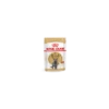 Royal Canin Britisch Shorthair Pour Chat 12 X 85g