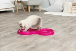 Trixie Jeu Pour Chat Flashing Ball Race 65 X 31 Cm -Promos VetoStore Boutique 92edef64fa1673f9ad39d2ed5c93ab26b693b9000b77e9bf1adc99d68473fd0b