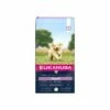 Eukanuba Puppy Large Breed Pour Chien 12kg