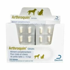 DECHRA Arthroquin Chat Et Petit Chien 24 Gélules