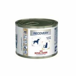 Royal Canin Recovery Canine/feline