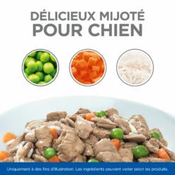 HILL'S SCIENCE PLAN HEALTHY CUISINE MIJOTÉS POUR CHIEN ADULTE SMALL & MINI AU POULET ET AU BŒUF 12X80G -Promos VetoStore Boutique Hill s science plan chien adult healthy cuisine mijotes sachet repas poulet boeuf 12x80g 4 FR