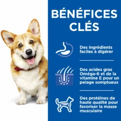 HILL'S SCIENCE PLAN HEALTHY CUISINE MIJOTÉS POUR CHIEN ADULTE SMALL & MINI AU POULET ET AU BŒUF 12X80G -Promos VetoStore Boutique Hill s science plan chien adult healthy cuisine mijotes sachet repas poulet boeuf 12x80g 8 FR