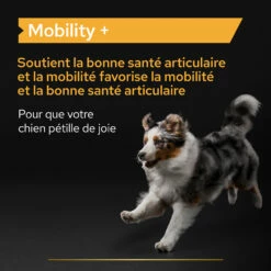 Purina PRO PLAN MOBILITY+ CHIEN ALIMENT COMPLEMENTAIRE - 60G -Promos VetoStore Boutique PRO PLAN MOBILITY DOG SUPPLEMENT 60G 5 FR