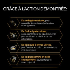 Purina PRO PLAN MOBILITY+ CHIEN ALIMENT COMPLEMENTAIRE - 60G -Promos VetoStore Boutique PRO PLAN MOBILITY DOG SUPPLEMENT 60G 6 FR