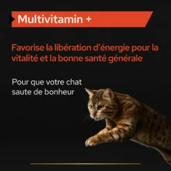 Purina PRO PLAN MULTIVITAMINS+ CHAT ALIMENT COMPLEMENTAIRE - 60G 18 Purina PRO PLAN MULTIVITAMINS+ CHAT ALIMENT COMPLEMENTAIRE - 60G -Promos VetoStore Boutique PRO PLAN MULTIVITAMINS CAT SUPPLEMENT 60G 5 FR