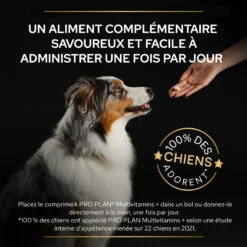 Purina PRO PLAN MULTIVITAMINS+ CHIEN ALIMENT COMPLEMENTAIRE - 67G 20 Purina PRO PLAN MULTIVITAMINS+ CHIEN ALIMENT COMPLEMENTAIRE - 67G -Promos VetoStore Boutique PRO PLAN MULTIVITAMINS DOG SUPPLEMENT 67G 7 FR