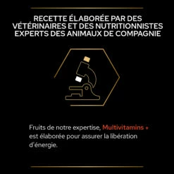 Purina PRO PLAN MULTIVITAMINS+ CHIEN ALIMENT COMPLEMENTAIRE - 67G 21 Purina PRO PLAN MULTIVITAMINS+ CHIEN ALIMENT COMPLEMENTAIRE - 67G -Promos VetoStore Boutique PRO PLAN MULTIVITAMINS DOG SUPPLEMENT 67G 8 FR