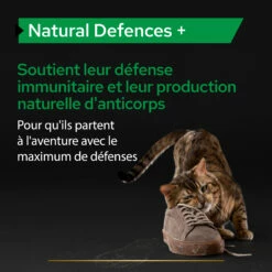 Purina PRO PLAN NATURAL DEFENCES+ CHAT ALIMENT COMPLEMENTAIRE - 60G -Promos VetoStore Boutique PRO PLAN NATURAL DEFENCES CAT SUPPLEMENT 60G 4 FR