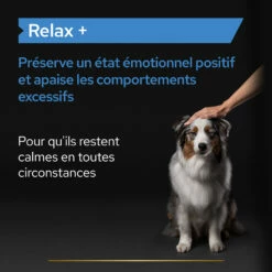 Purina PRO PLAN RELAX+ CHIEN ALIMENT COMPLEMENTAIRE - 225G 18 Purina PRO PLAN RELAX+ CHIEN ALIMENT COMPLEMENTAIRE - 225G -Promos VetoStore Boutique PRO PLAN RELAX DOG SUPPLEMENT 225G 5 FR