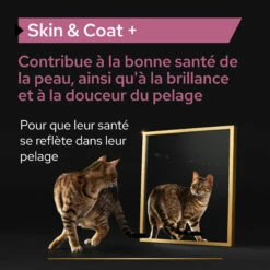 Purina PRO PLAN SKIN & COAT+ CHAT ALIMENT COMPLEMENTAIRE - 135G 18 Purina PRO PLAN SKIN & COAT+ CHAT ALIMENT COMPLEMENTAIRE - 135G -Promos VetoStore Boutique PRO PLAN SKIN COAT CAT SUPPLEMENT 135G 5 FR