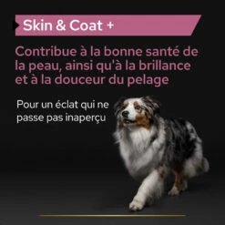 Purina PRO PLAN SKIN & COAT+ CHIEN ALIMENT COMPLEMENTAIRE - 225G -Promos VetoStore Boutique PRO PLAN SKIN COAT DOG SUPPLEMENT 225G 5 FR