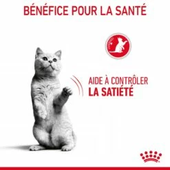 Royal Canin Appetite Control Pour Chat 10kg -Promos VetoStore Boutique Royal Canin Appetite Control Care Chat FR 07 1