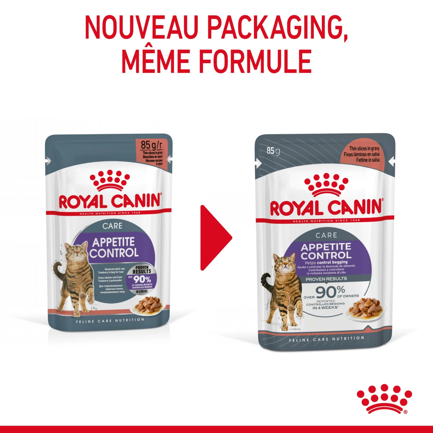 Royal Canin Appetite Control En Sauce Pour Chat 12 Sachets De 85g 6 Royal Canin Appetite Control En Sauce Pour Chat 12 Sachets De 85g – Image 4