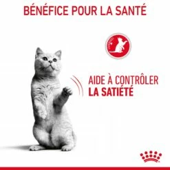Royal Canin Appetite Control En Sauce Pour Chat 12 Sachets De 85g 22 Royal Canin Appetite Control En Sauce Pour Chat 12 Sachets De 85g -Promos VetoStore Boutique Royal Canin Appetite Control Care Gravy Chat FR 08