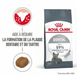 Royal Canin Dental Care Pour Chat 8kg -Promos VetoStore Boutique Royal Canin Dental Care Chat FR 02 2