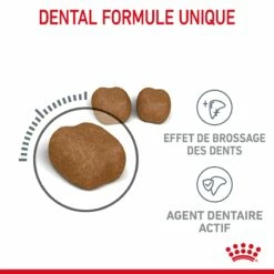 Royal Canin Dental Care Pour Chat 1,5kg -Promos VetoStore Boutique Royal Canin Dental Care Chat FR 04 1
