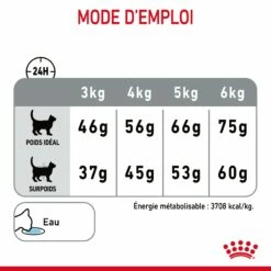 Royal Canin Dental Care Pour Chat 3,5kg -Promos VetoStore Boutique Royal Canin Dental Care Chat FR 08