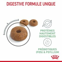 Royal Canin Digestive Care Pour Chat 4kg -Promos VetoStore Boutique Royal Canin Digestive Care Chat FR 05 1
