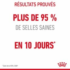Royal Canin Digestive Care Pour Chat 4kg -Promos VetoStore Boutique Royal Canin Digestive Care Chat FR 06 1