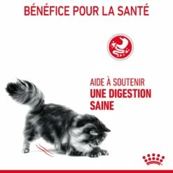 Royal Canin Digestive Care Pour Chat 10kg -Promos VetoStore Boutique Royal Canin Digestive Care Chat FR 07 2