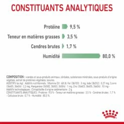 Royal Canin Digestive Care En Sauce Pour Chat 12 Sachets De 85g -Promos VetoStore Boutique Royal Canin Digestive Care Gravy Chat FR 10