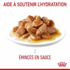 Royal Canin Hair & Skin Care En Sauce Pour Chat 12 Sachets De 85g -Promos VetoStore Boutique Royal Canin Hair Skin Care Gravy Chat FR 07