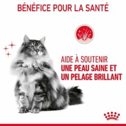 Royal Canin Hair & Skin Care En Sauce Pour Chat 12 Sachets De 85g -Promos VetoStore Boutique Royal Canin Hair Skin Care Gravy Chat FR 08