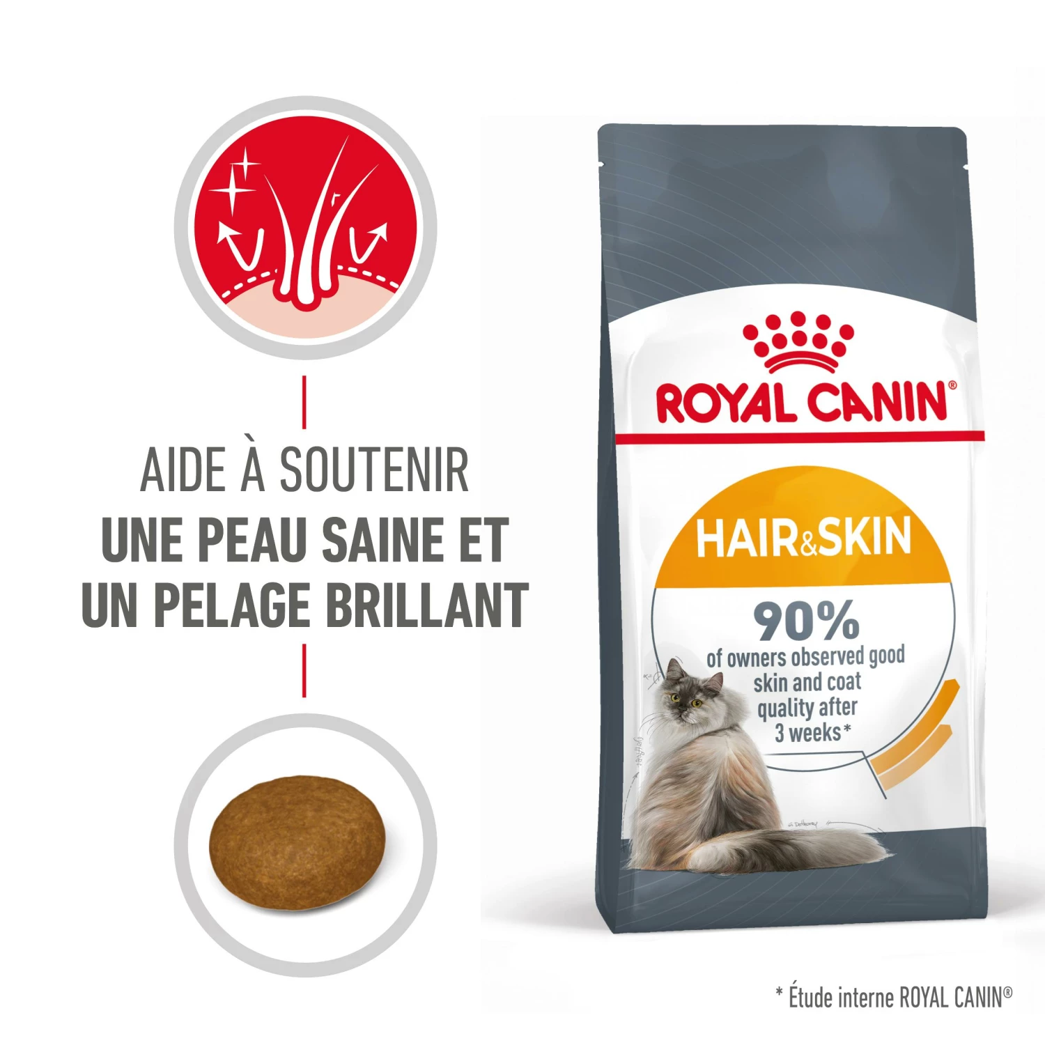 Royal Canin Hair & Skin Care Pour Chat 4kg 4 Royal Canin Hair & Skin Care Pour Chat 4kg – Image 2