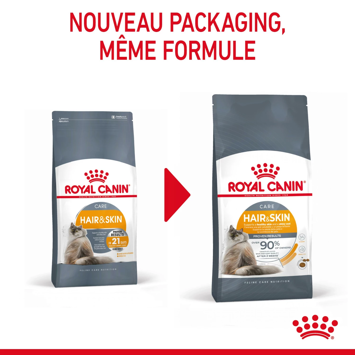 Royal Canin Hair & Skin Care Pour Chat 4kg 5 Royal Canin Hair & Skin Care Pour Chat 4kg – Image 3