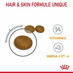 Royal Canin Hair & Skin Care Pour Chat 10kg -Promos VetoStore Boutique Royal Canin Hair skin Care Chat FR 05 2