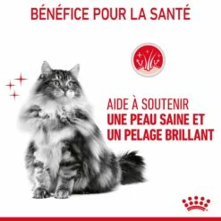 Royal Canin Hair & Skin Care Pour Chat 2kg 19 Royal Canin Hair & Skin Care Pour Chat 2kg -Promos VetoStore Boutique Royal Canin Hair skin Care Chat FR 07