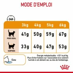 Royal Canin Hair & Skin Care Pour Chat 2kg 21 Royal Canin Hair & Skin Care Pour Chat 2kg -Promos VetoStore Boutique Royal Canin Hair skin Care Chat FR 09