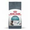Royal Canin Hairball Care Pour Chat 10kg