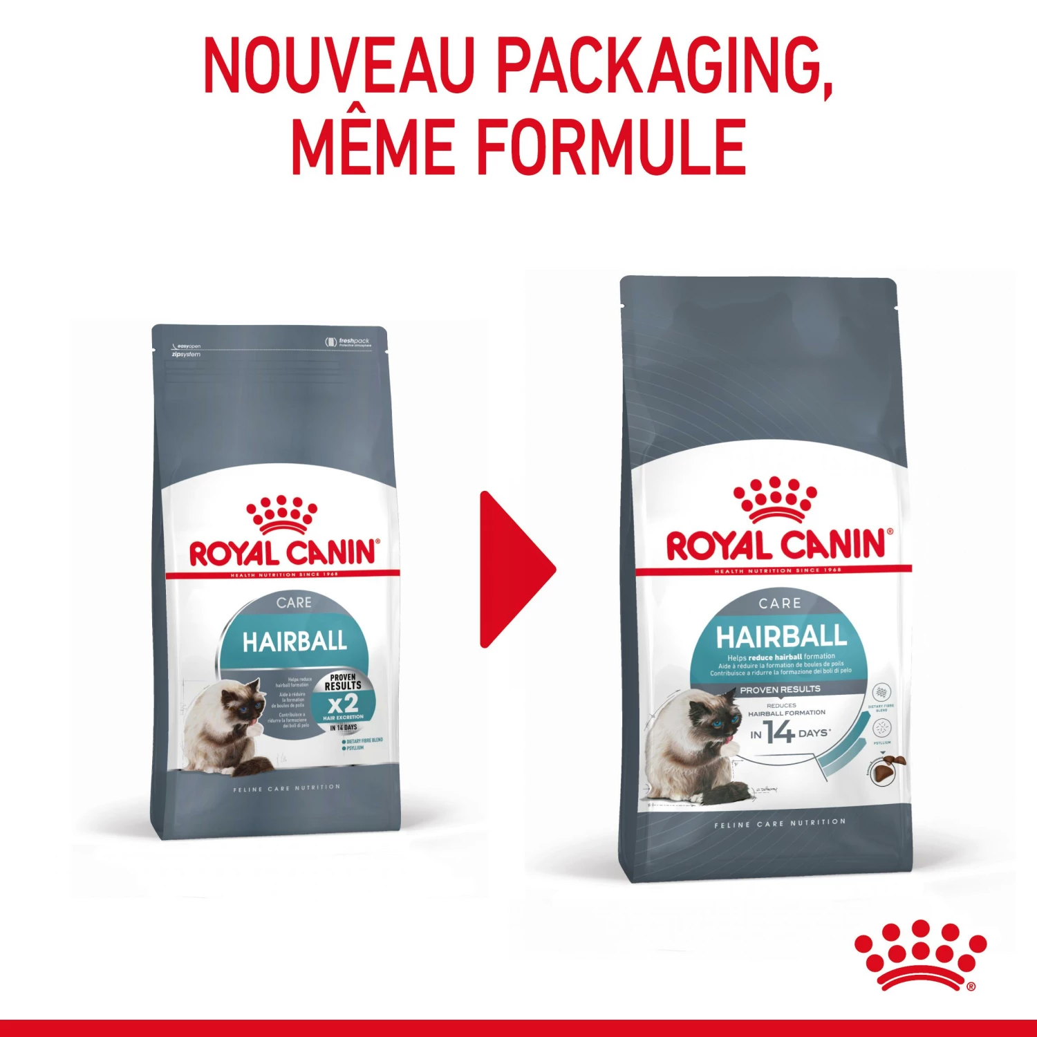 Royal Canin Hairball Care Pour Chat 2kg 5 Royal Canin Hairball Care Pour Chat 2kg – Image 3