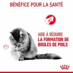 Royal Canin Hairball Care Pour Chat 2kg 19 Royal Canin Hairball Care Pour Chat 2kg -Promos VetoStore Boutique Royal Canin Hairball Care Chat FR 07 1